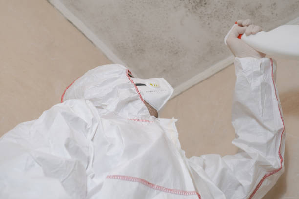 Crawl Space Mold Removal in English Creek, NJ